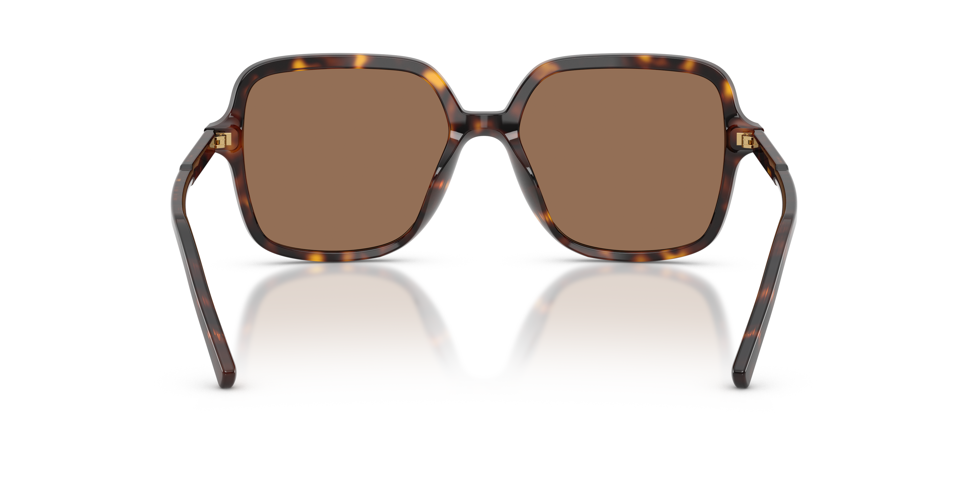 Dolce & Gabbana DG4539 502/73  